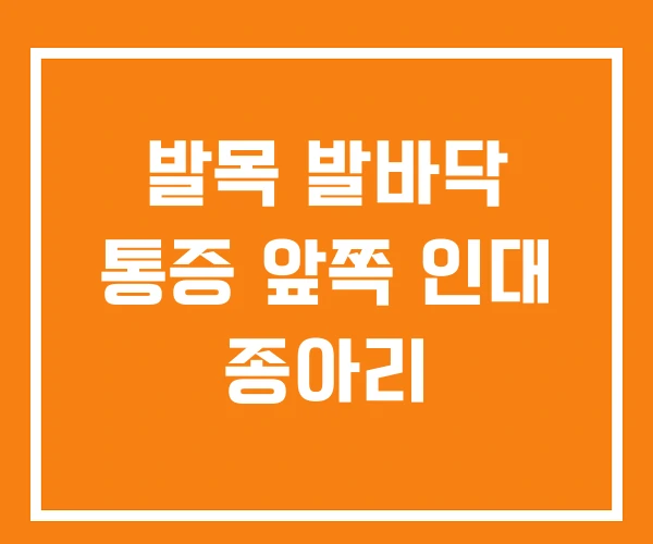 발목 발바닥 통증 앞쪽 인대 종아리 발목 발바닥 통증 앞쪽 인대 종아리