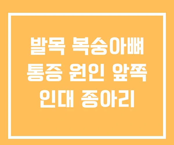 발목 복숭아뼈 통증 원인 앞쪽 인대 종아리 발목 복숭아뼈 통증 원인 앞쪽 인대 종아리