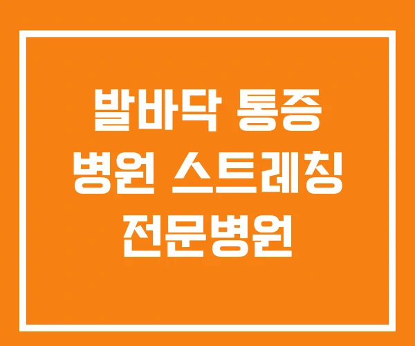발바닥 통증 병원 스트레칭 전문병원 발바닥 통증 병원 스트레칭 전문병원