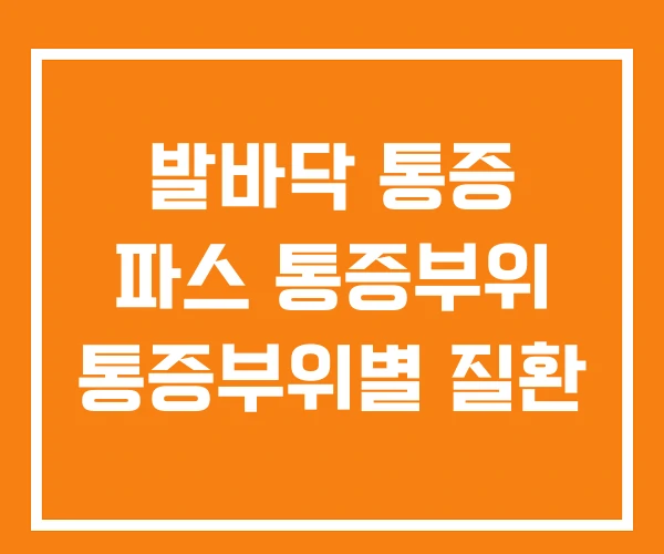 발바닥 통증 파스 통증부위 통증부위별 질환 발바닥 통증 파스 통증부위 통증부위별 질환