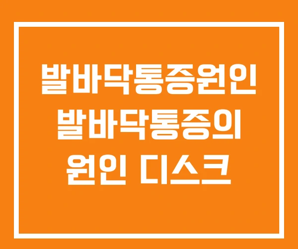 발바닥통증원인 발바닥통증의 원인 디스크 발바닥통증원인 발바닥통증의 원인 디스크