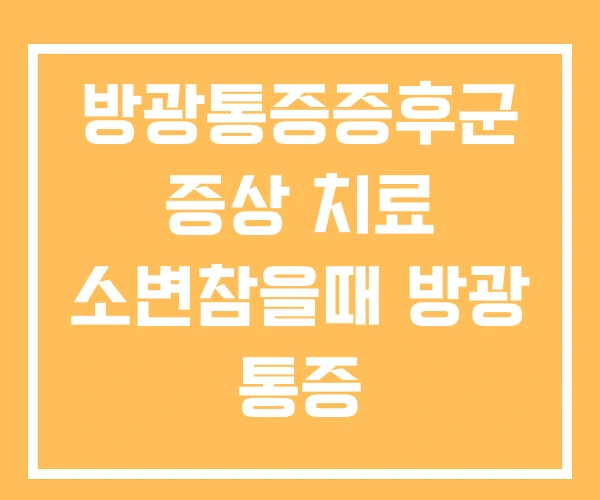 방광통증증후군 증상 치료 소변참을때 방광 통증 방광통증증후군 증상 치료 소변참을때 방광 통증