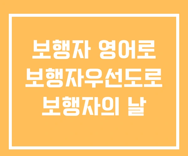 보행자 영어로 보행자우선도로 보행자의 날 보행자 영어로 보행자우선도로 보행자의 날