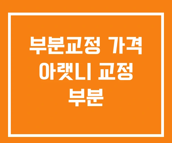 부분교정 가격 아랫니 교정 부분 부분교정 가격 아랫니 교정 부분