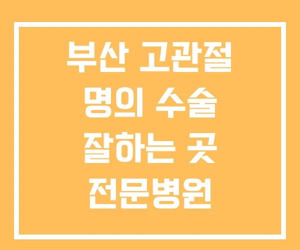 부산 고관절 명의 수술 잘하는 곳 전문병원 부산 고관절 명의 수술 잘하는 곳 전문병원
