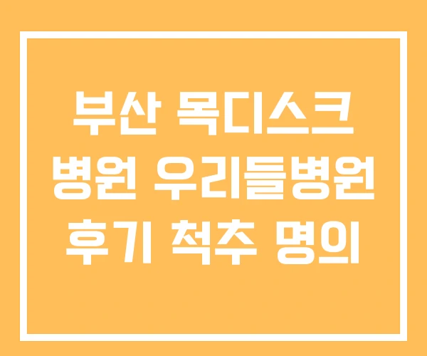 부산 목디스크 병원 우리들병원 후기 척추 명의