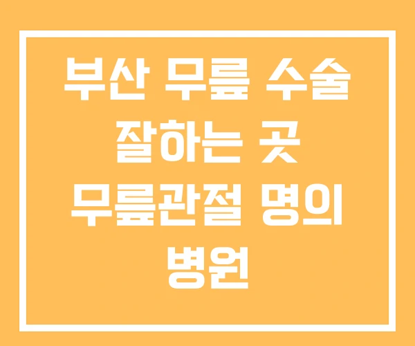부산 무릎 수술 잘하는 곳 무릎관절 명의 병원