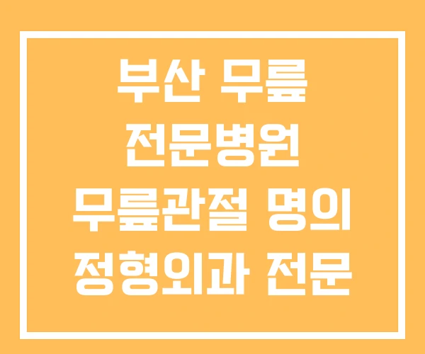부산 무릎 전문병원 무릎관절 명의 정형외과 전문 병원 부산 무릎 전문병원 무릎관절 명의 정형외과 전문 병원