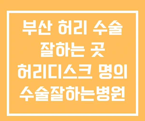 부산 허리 수술 잘하는 곳 허리디스크 명의 수술잘하는병원 부산 허리 수술 잘하는 곳 허리디스크 명의 수술잘하는병원
