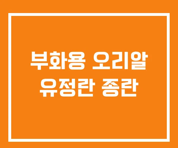 부화용 오리알 유정란 종란 부화용 오리알 유정란 종란