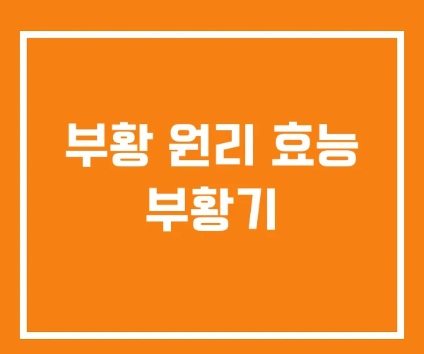 부황 원리 효능 부황기 부황 원리 효능 부황기