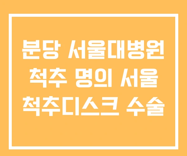 분당 서울대병원 척추 명의 서울 척추디스크 수술