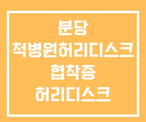분당 척병원허리디스크 협착증 허리디스크 척추관 분당 척병원허리디스크 협착증 허리디스크 척추관