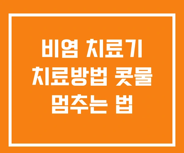 비염 치료기 치료방법 콧물 멈추는 법 비염 치료기 치료방법 콧물 멈추는 법