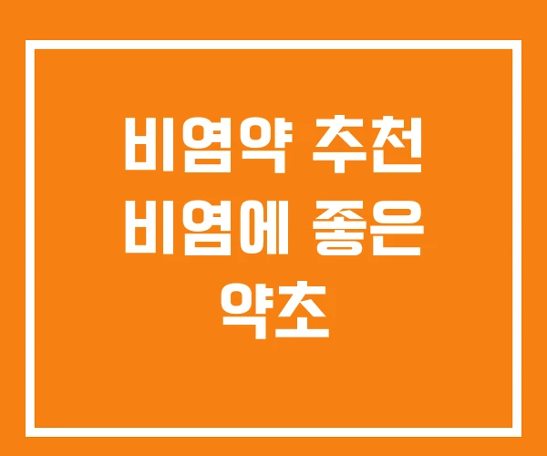 비염약 추천 비염에 좋은 약초 비염약 추천 비염에 좋은 약초