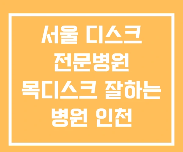 서울 디스크 전문병원 목디스크 잘하는 병원 인천