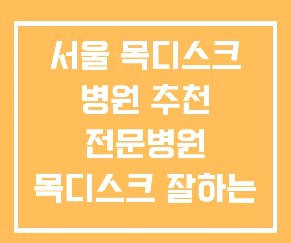서울 목디스크 병원 추천 전문병원 목디스크 잘하는