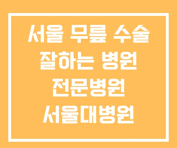 서울 무릎 수술 잘하는 병원 전문병원 서울대병원 서울 무릎 수술 잘하는 병원 전문병원 서울대병원