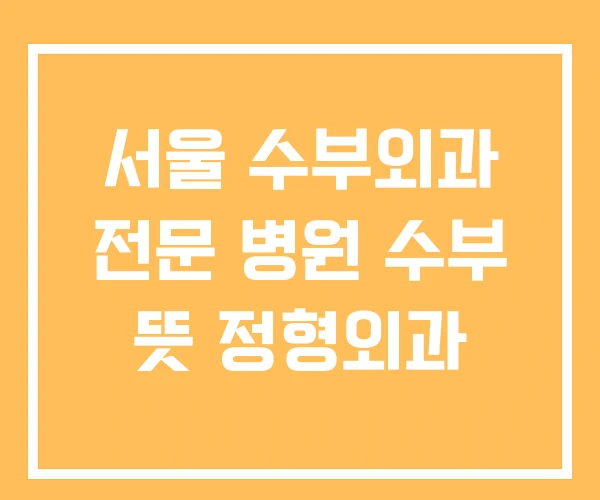 서울 수부외과 전문 병원 수부 뜻 정형외과 서울 수부외과 전문 병원 수부 뜻 정형외과