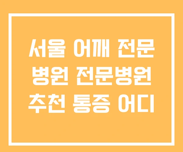 서울 어깨 전문 병원 전문병원 추천 통증 어디