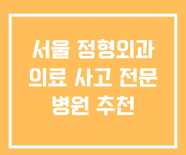 서울 정형외과 의료 사고 전문 병원 추천 서울 정형외과 의료 사고 전문 병원 추천