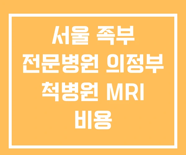 서울 족부 전문병원 의정부 척병원 MRI 비용 서울 족부 전문병원 의정부 척병원 MRI 비용