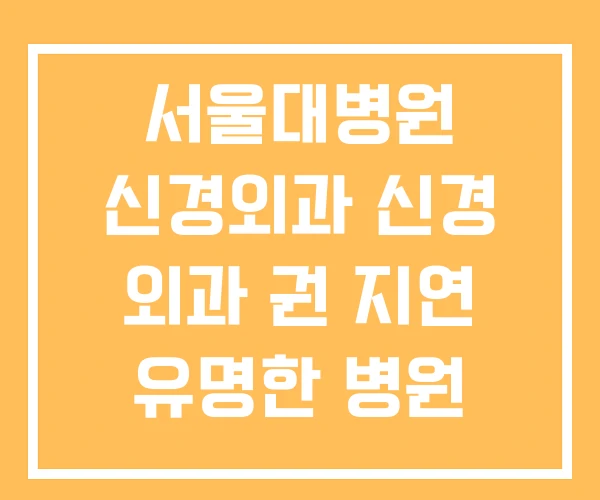 서울대병원 신경외과 신경 외과 권 지연 유명한 병원 서울대병원 신경외과 신경 외과 권 지연 유명한 병원
