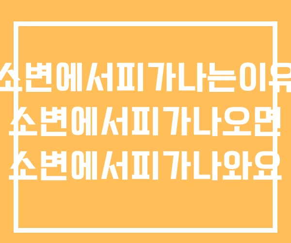 소변에서피가나는이유 소변에서피가나오면 소변에서피가나와요