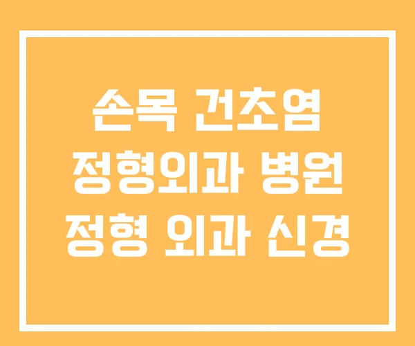 손목 건초염 정형외과 병원 정형 외과 신경