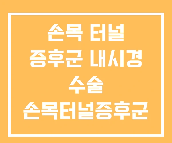 손목 터널 증후군 내시경 수술 손목터널증후군 후기 손목 터널 증후군 내시경 수술 손목터널증후군 후기