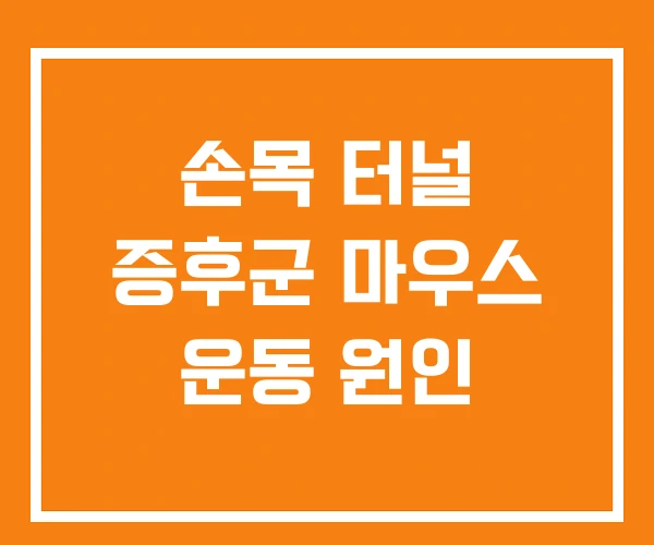 손목 터널 증후군 마우스 운동 원인 손목 터널 증후군 마우스 운동 원인