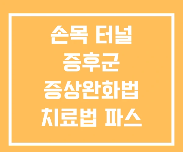손목 터널 증후군 증상완화법 치료법 파스 손목 터널 증후군 증상완화법 치료법 파스
