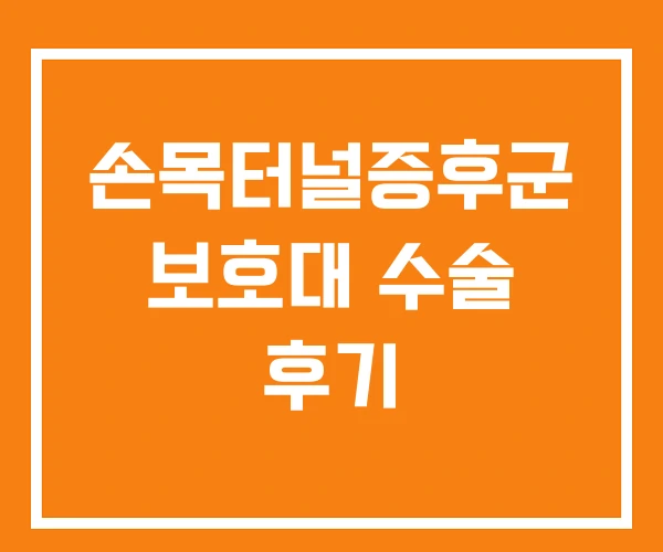 손목터널증후군 보호대 수술 후기 손목터널증후군 보호대 수술 후기