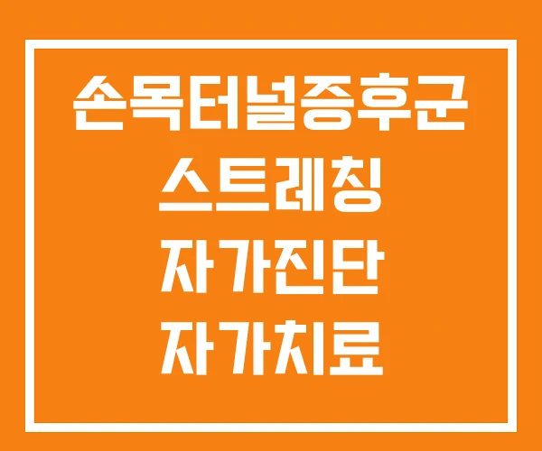 손목터널증후군 스트레칭 자가진단 자가치료 손목터널증후군 스트레칭 자가진단 자가치료