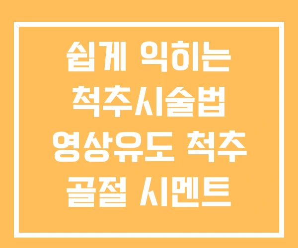 쉽게 익히는 척추시술법 영상유도 척추 골절 시멘트 시술 쉽게 익히는 척추시술법 영상유도 척추 골절 시멘트 시술