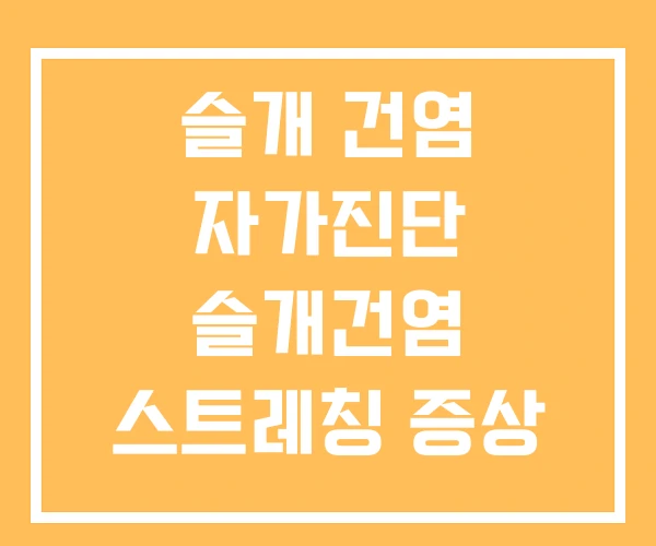 슬개 건염 자가진단 슬개건염 스트레칭 증상 슬개 건염 자가진단 슬개건염 스트레칭 증상