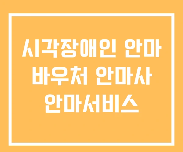시각장애인 안마 바우처 안마사 안마서비스 시각장애인 안마 바우처 안마사 안마서비스