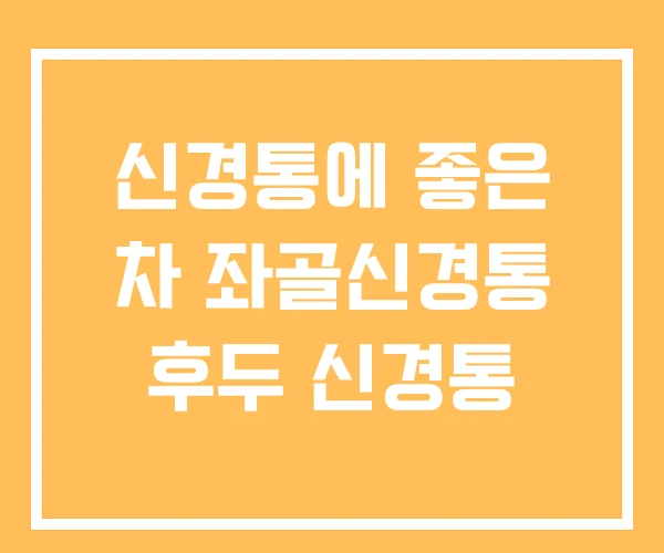 신경통에 좋은 차 좌골신경통 후두 신경통 신경통에 좋은 차 좌골신경통 후두 신경통