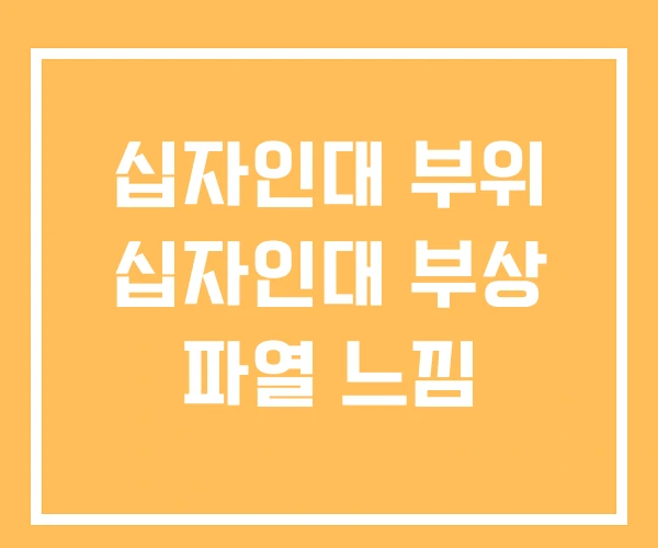 십자인대 부위 십자인대 부상 파열 느낌