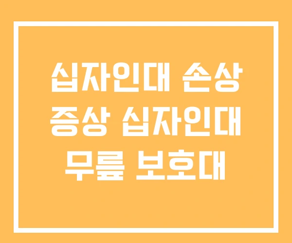 십자인대 손상 증상 십자인대 무릎 보호대 십자인대 손상 증상 십자인대 무릎 보호대