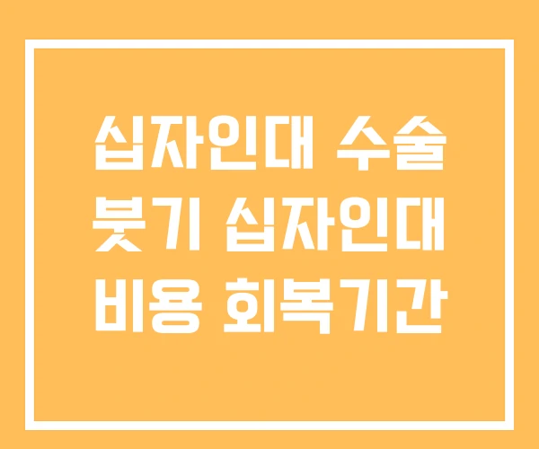 십자인대 수술 붓기 십자인대 비용 회복기간 십자인대 수술 붓기 십자인대 비용 회복기간