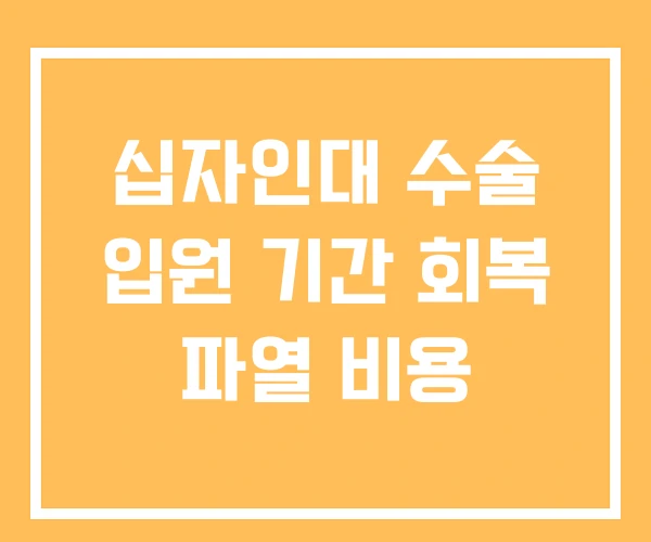 십자인대 수술 입원 기간 회복 파열 비용 십자인대 수술 입원 기간 회복 파열 비용