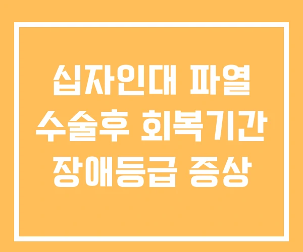 십자인대 파열 수술후 회복기간 장애등급 증상