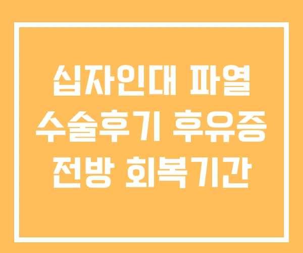 십자인대 파열 수술후기 후유증 전방 회복기간 십자인대 파열 수술후기 후유증 전방 회복기간