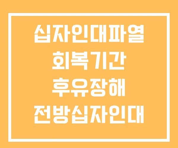 십자인대파열 회복기간 후유장해 전방십자인대 파열 십자인대파열 회복기간 후유장해 전방십자인대 파열