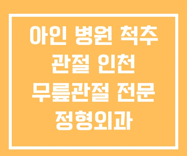 아인 병원 척추 관절 인천 무릎관절 전문 정형외과
