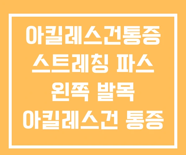 아킬레스건통증 스트레칭 파스 왼쪽 발목 아킬레스건 통증 아킬레스건통증 스트레칭 파스 왼쪽 발목 아킬레스건 통증