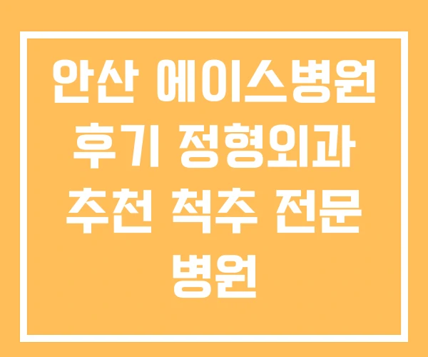 안산 에이스병원 후기 정형외과 추천 척추 전문 병원 안산 에이스병원 후기 정형외과 추천 척추 전문 병원