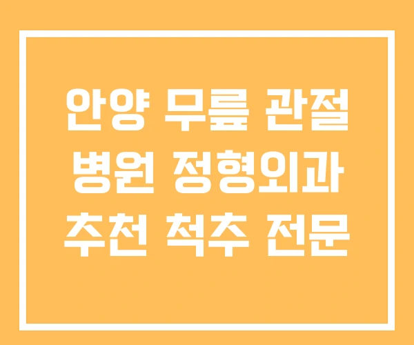 안양 무릎 관절 병원 정형외과 추천 척추 전문 안양 무릎 관절 병원 정형외과 추천 척추 전문
