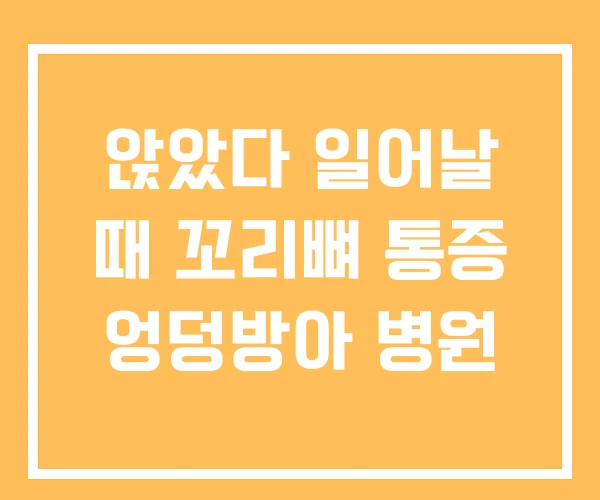 앉았다 일어날 때 꼬리뼈 통증 엉덩방아 병원